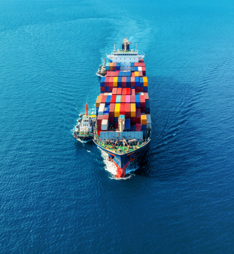 Navigating the Digital