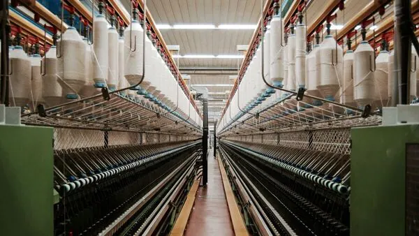 Avi Ansh Textile IPO 1726822924734 1732277366026