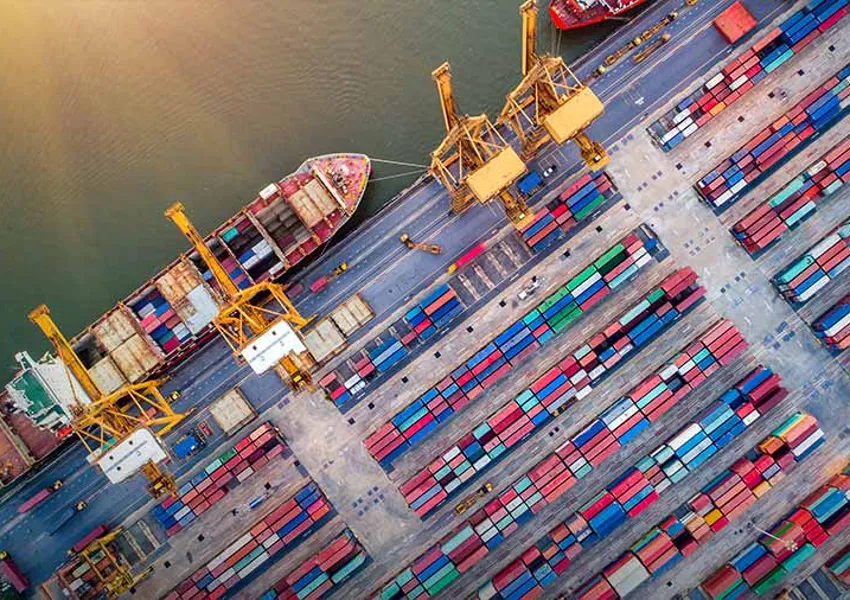 VN suply chain QA (1) 20241112130426 original image 28