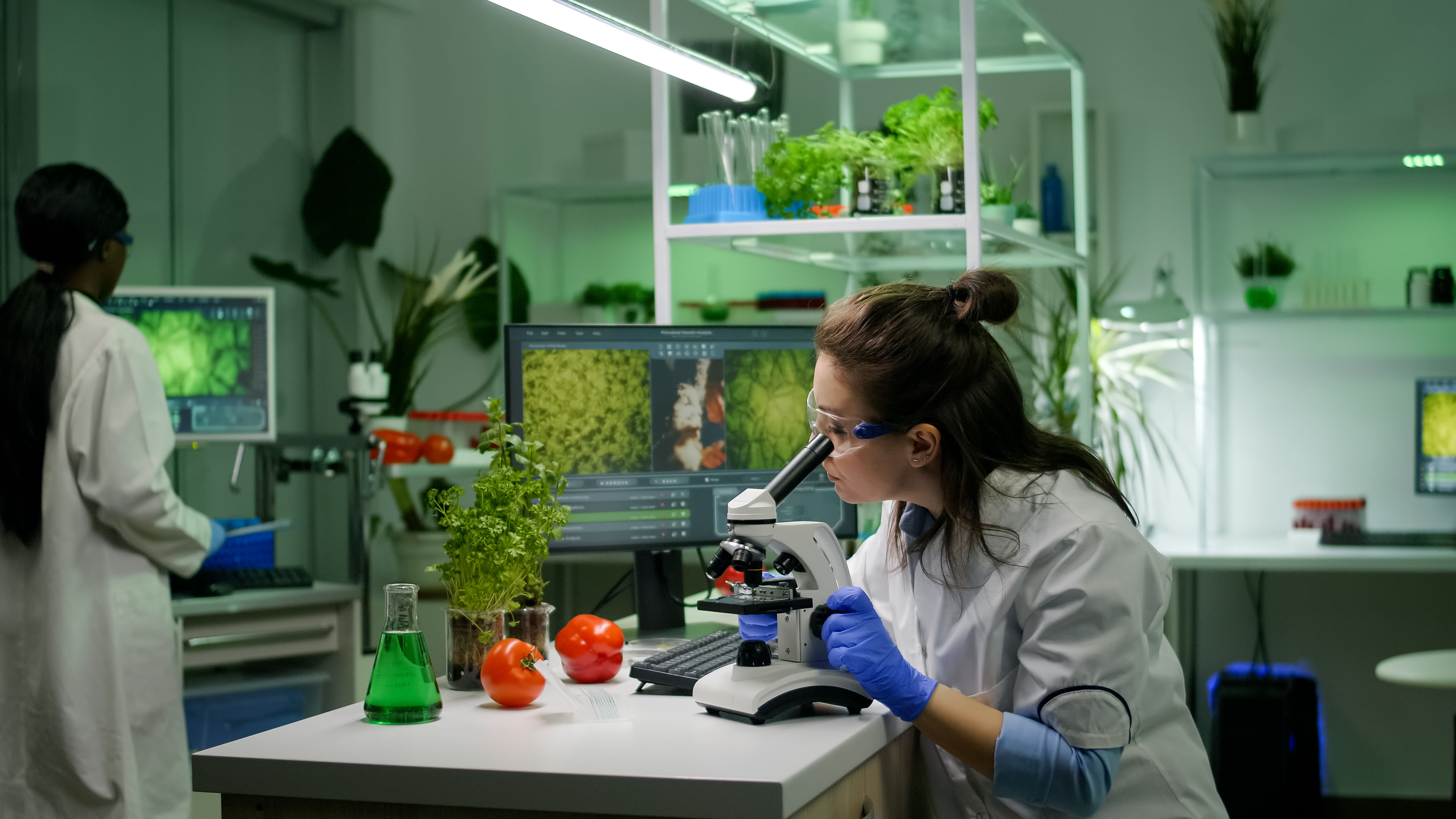 biologist researcher analyzing biological slide agriculture expertise using microscope.jpg